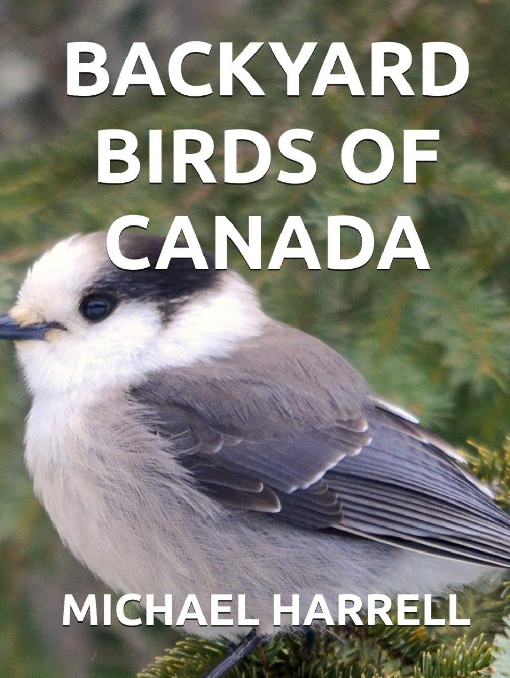 BACKYARD BIRDS OF CANADA (Wildlife of North America and other educational books.)      Hardcover – March 25, 2025