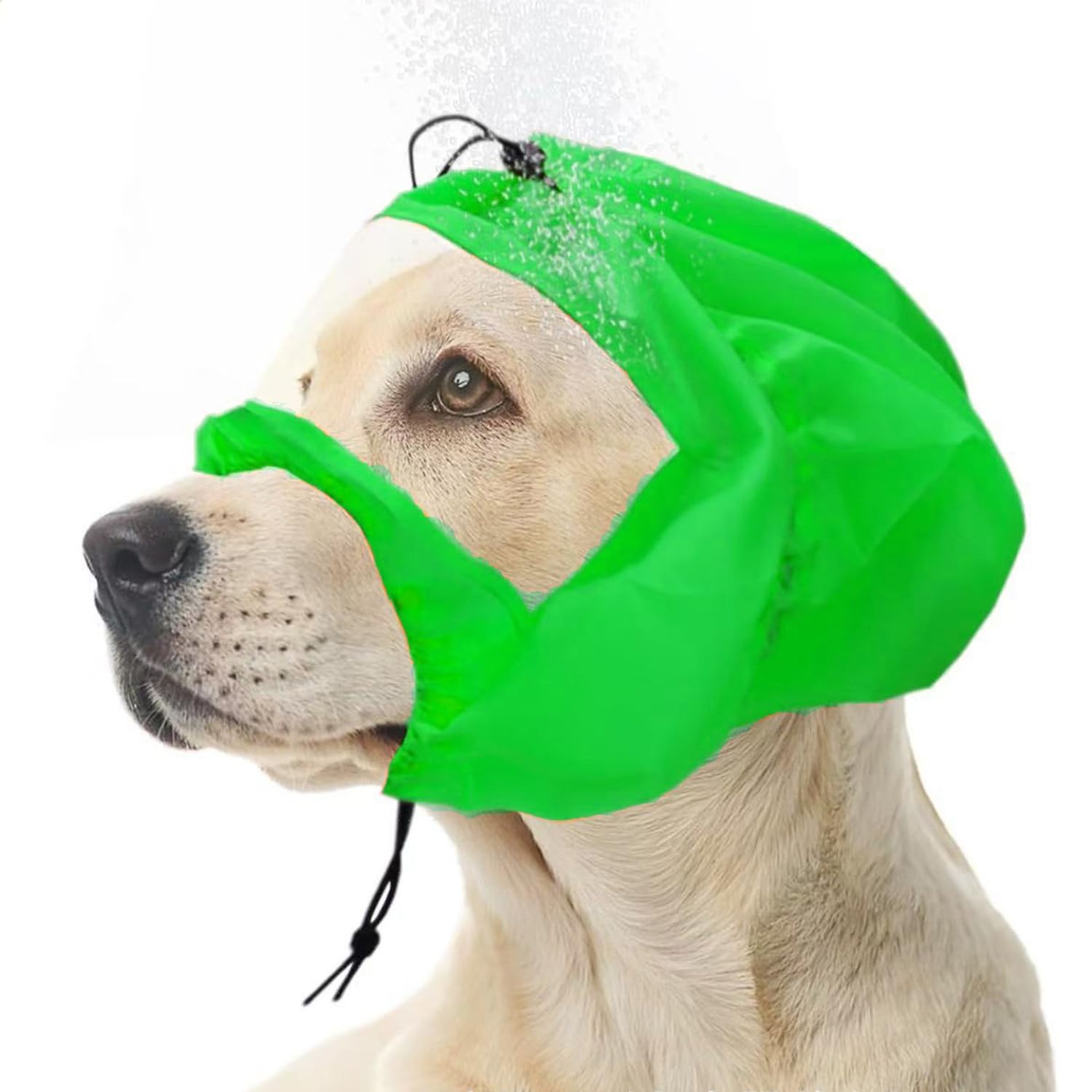 Blue Dream Island Adjustable Large Dog Shower Cap,Dog Ear Cover Waterproof Hat,Pet Ear Protection Bathing Cap for Grooming Bathing Swimming_Green-Transparent