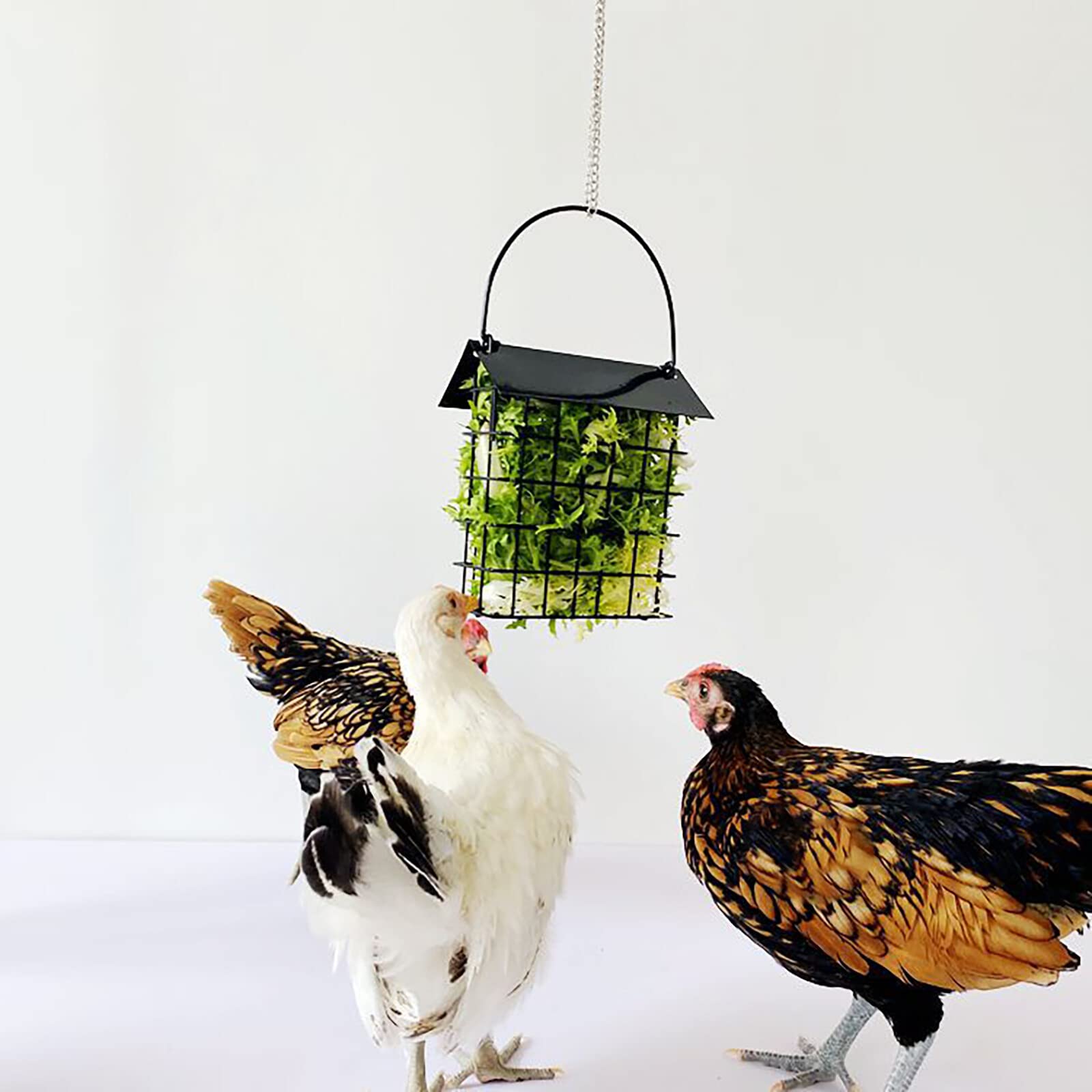 Petyoung Cesta de golosinas para Pollos, comedero de Verduras, Jaula Colgante forrajeo Juguete para gallinas Gallinero, Aves de Corral, Conejos