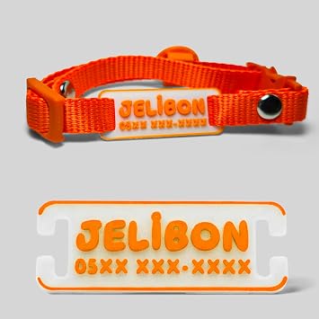 Sallanmayan, Charml ,  simlikli, Telefon Numaras  Yaz l , Kedi Boyun Tasmas  Safety Click Turuncu