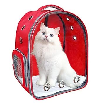 Risan Pet Transparent Astronaut Space Cat & Small Dog Puppy Kitty Shihtzu Carriers for Breathable Airline Travel Approved Air Ventilation Backpack Size 17 ? 13 ? 11 inch Red