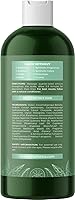Vista 4 de Champú y acondicionador grasos para cabello y cuero cabelludo, champú desengrasante y acondicionador de árbol de té para cabello graso y cuero