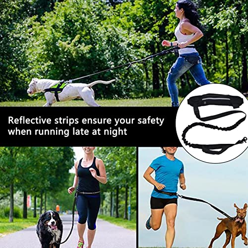 Coleira de cachorro com bolsa de zíper, elástico durável com tiras refletivas, cinto ajustável para