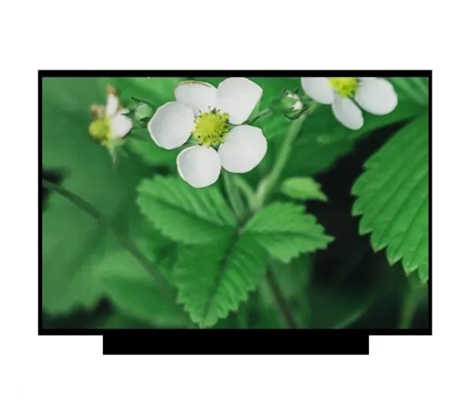 Compatibile Con Acer, Swift 3 SF314-57-58DF N19H4, Pannello Schermo LCD