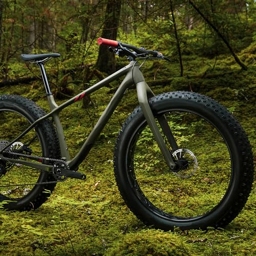 RUTU Foldable 20x3.0 Bicycle Tire