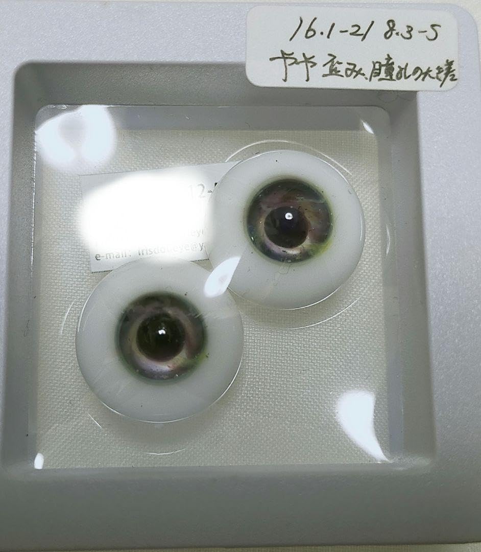 ディーラー様製 グラスアイ 約16mm d ZBBPNTIQ