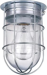 Canarm BL04CWG-HD 7-Inch Outdoor Barn Light Sconce - Damp Rated Silver Wall/Ceiling Mount for Porch, Patio, Entryway