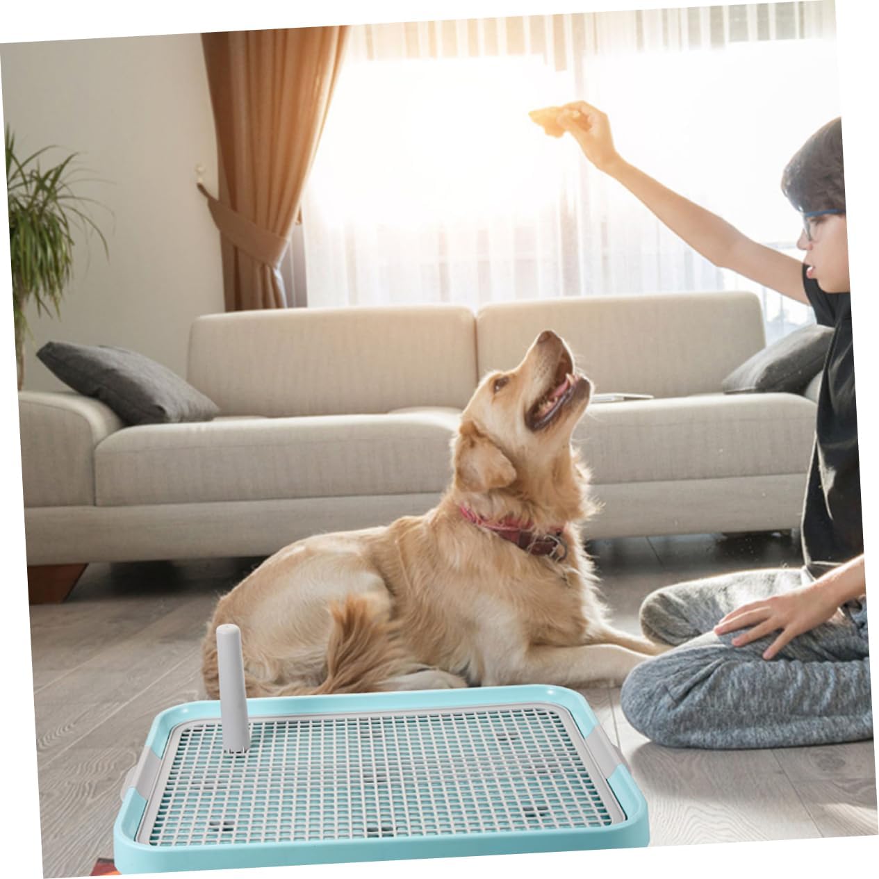 Yardwe 2pcs Dog Potty Tray for Toilet Training Splashproof Easy to Mesh Pet Toilet