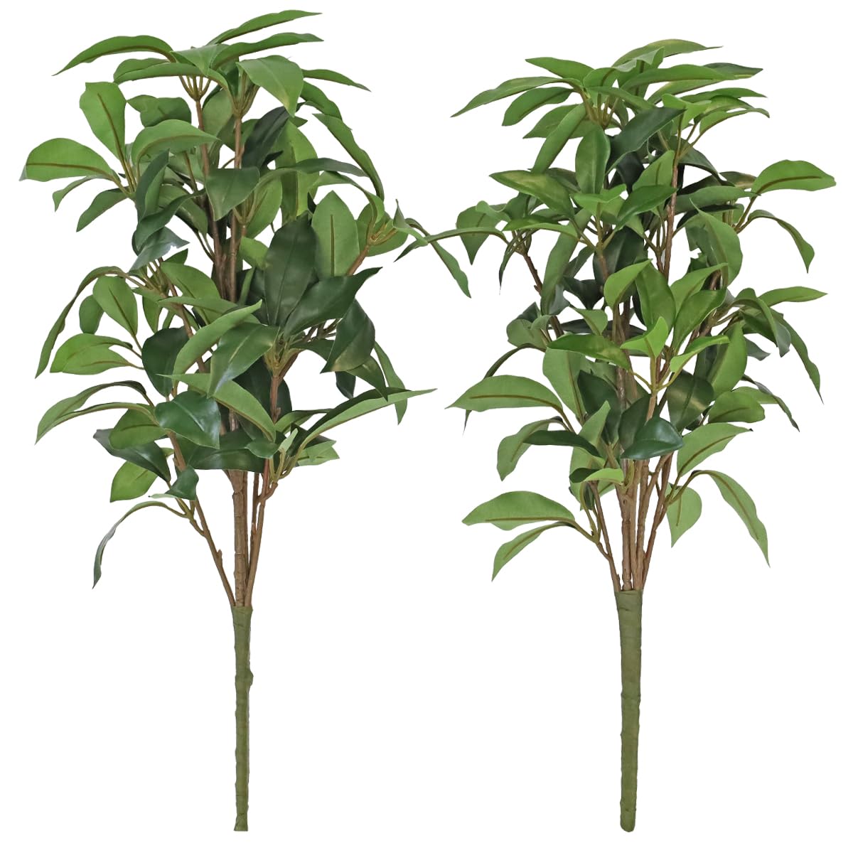 奇木飾り瘤(K-LC836) 奇木飾り瘤(K-LC836) 奇木飾り瘤(K-LC836)