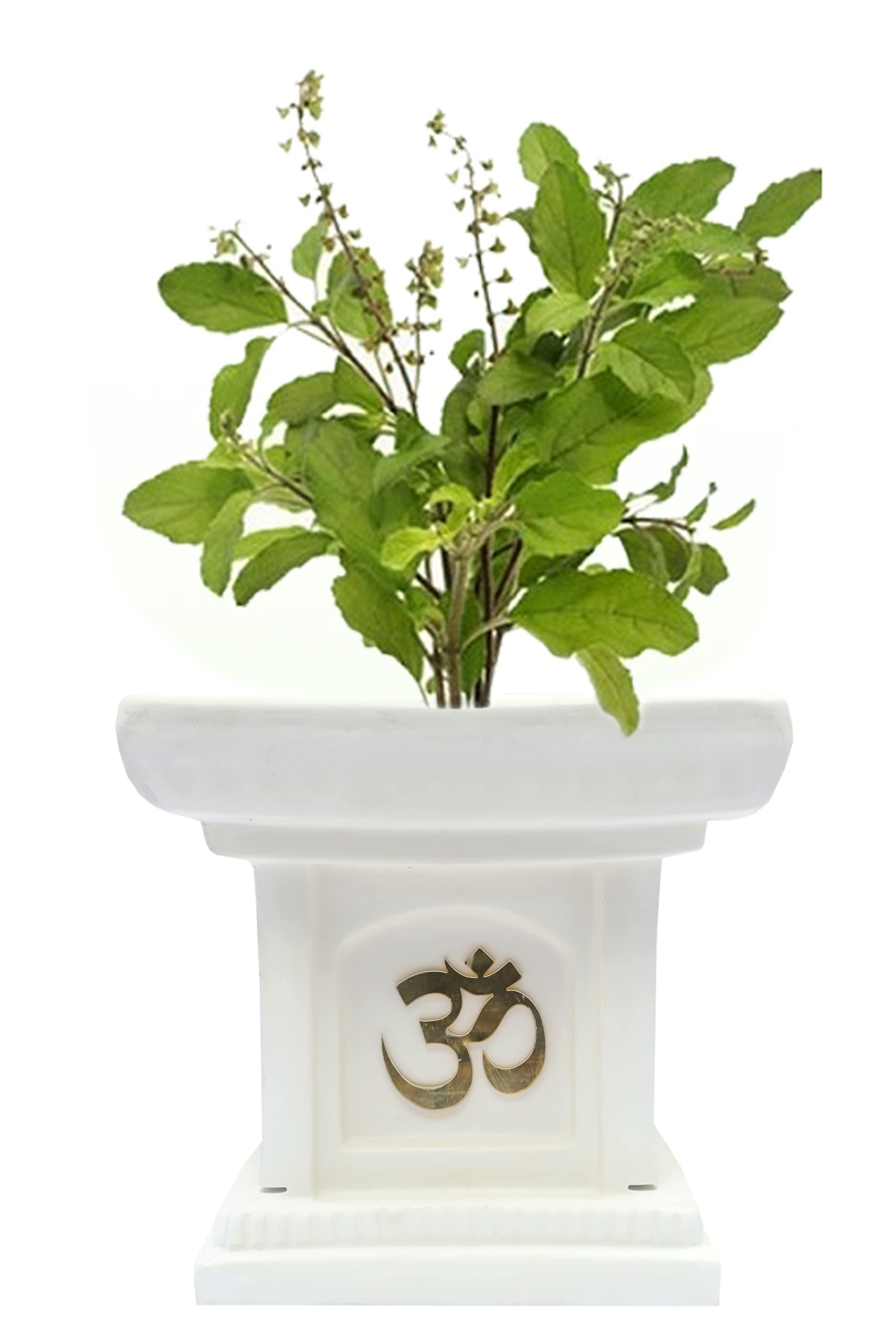 Gardenix Decor Global Trade & Utility Products Tulsi Planter Marble Look Size: Size: Height: 10 inch, Width: 10 inch, Length: 10 inch