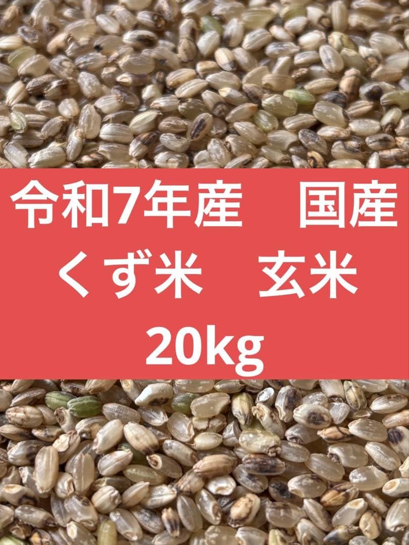 Amazon.co.jp: 令和7年産 くず米玄米 20kg : 食品・飲料・お酒