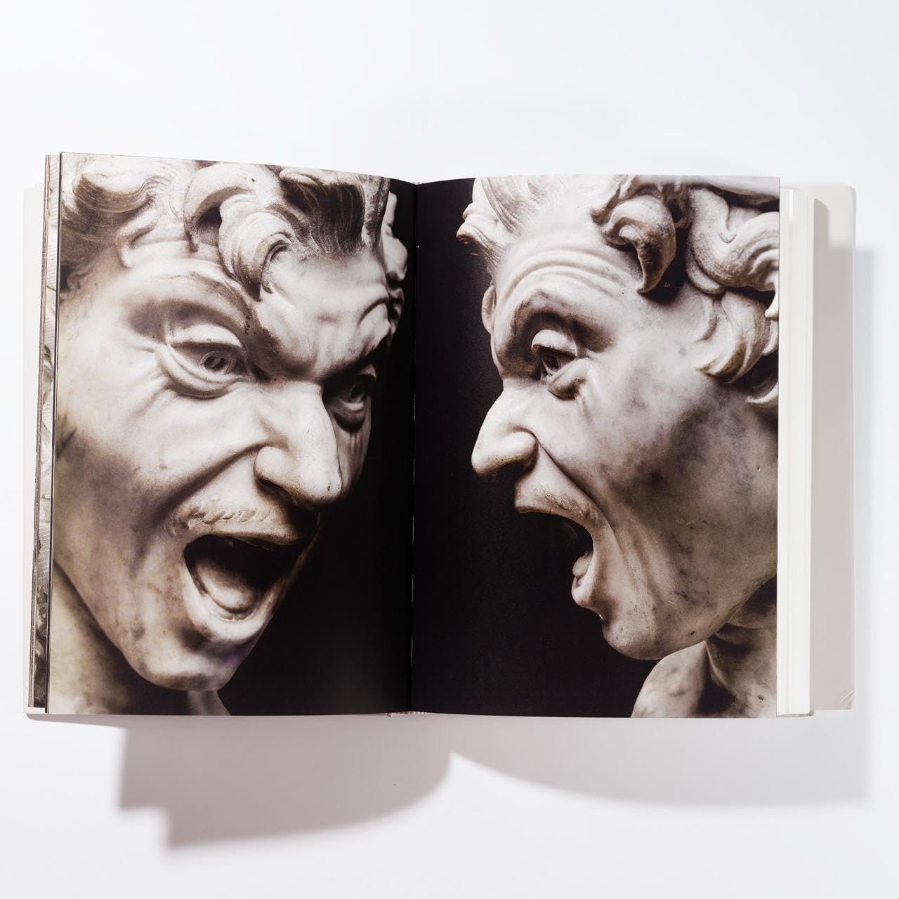 Bernini. Catalogo delle sculture. Ediz. a colori