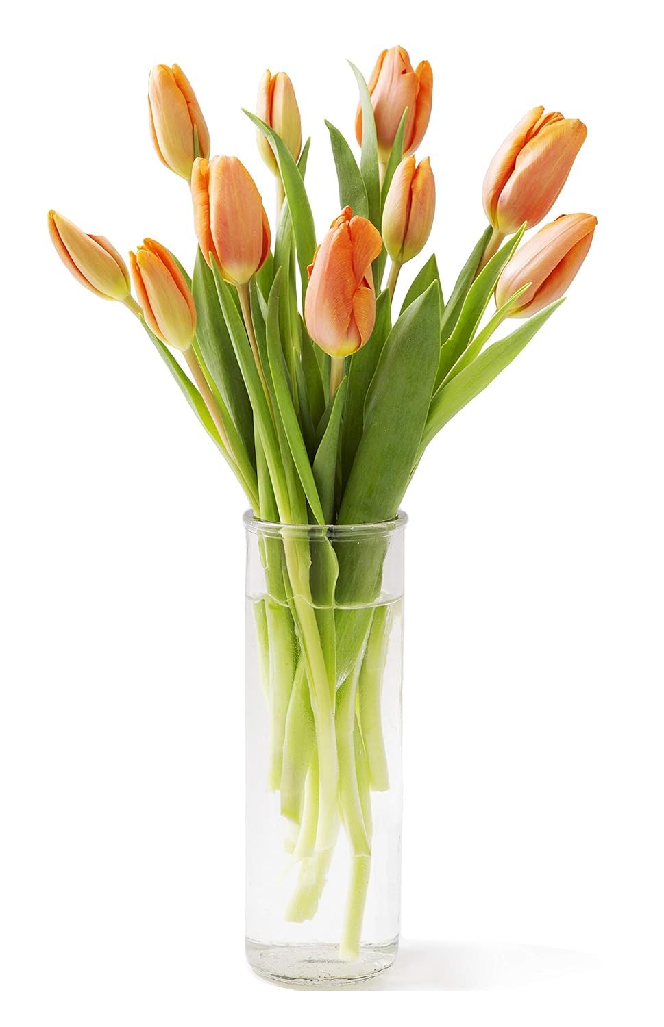 KaBloom - Bouquet of 10 Orange Tulips with Vase - Fresh Flowers for Birthday, Valentine's & Mother's Day