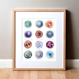 Cells Watercolor Poster, Cell Paintings, Immunology Art, Abstract Biology Art, Educational Wall Art, Biology And Anatomy, Science Education, Educational Resource Vertical Poster And Canvas