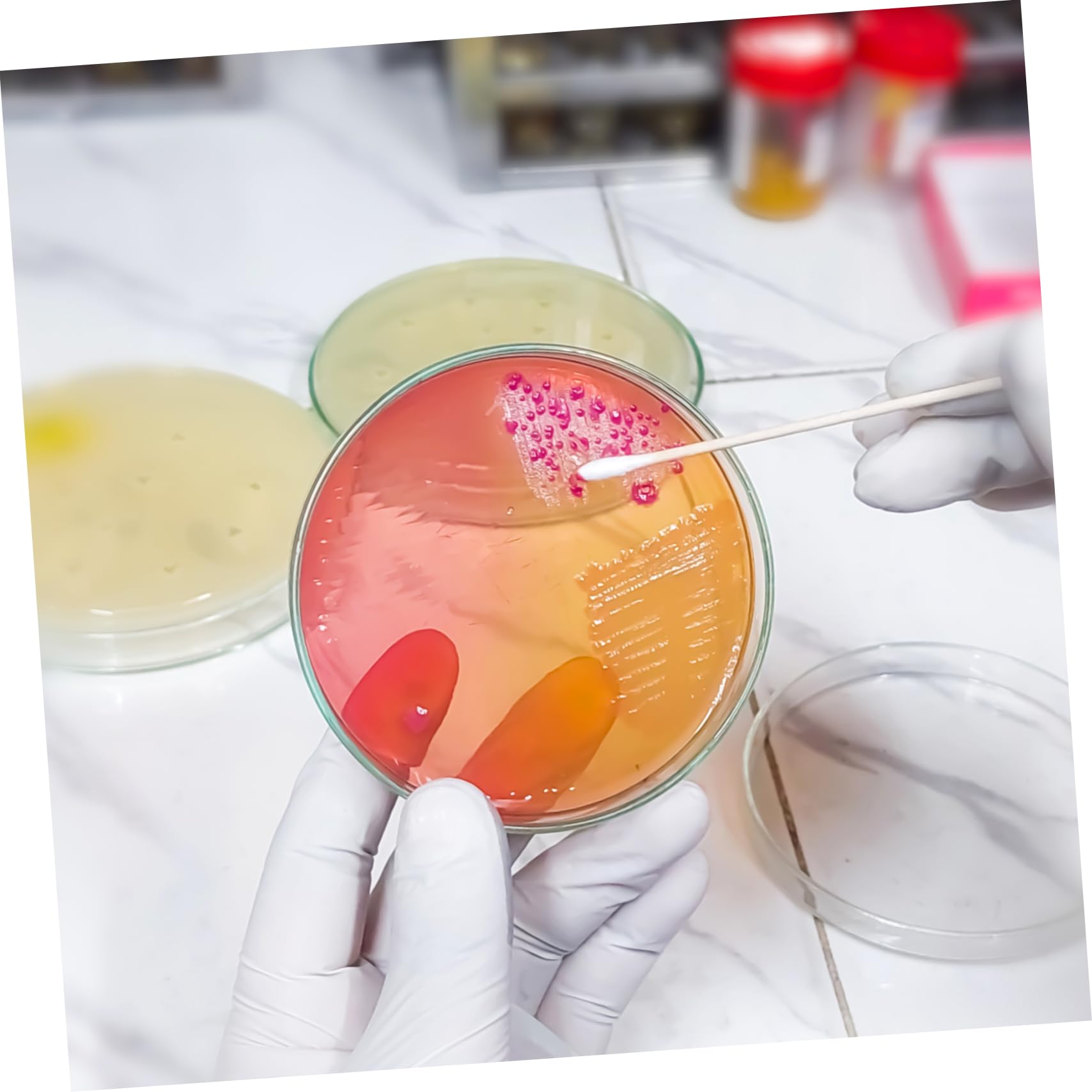 Vorgegossene Agar-petrischalen 20-teiliges Set 7 Cm Nähragarplatten Einfach Zu Verwendendes Wissenschaftliches Laborzubehör