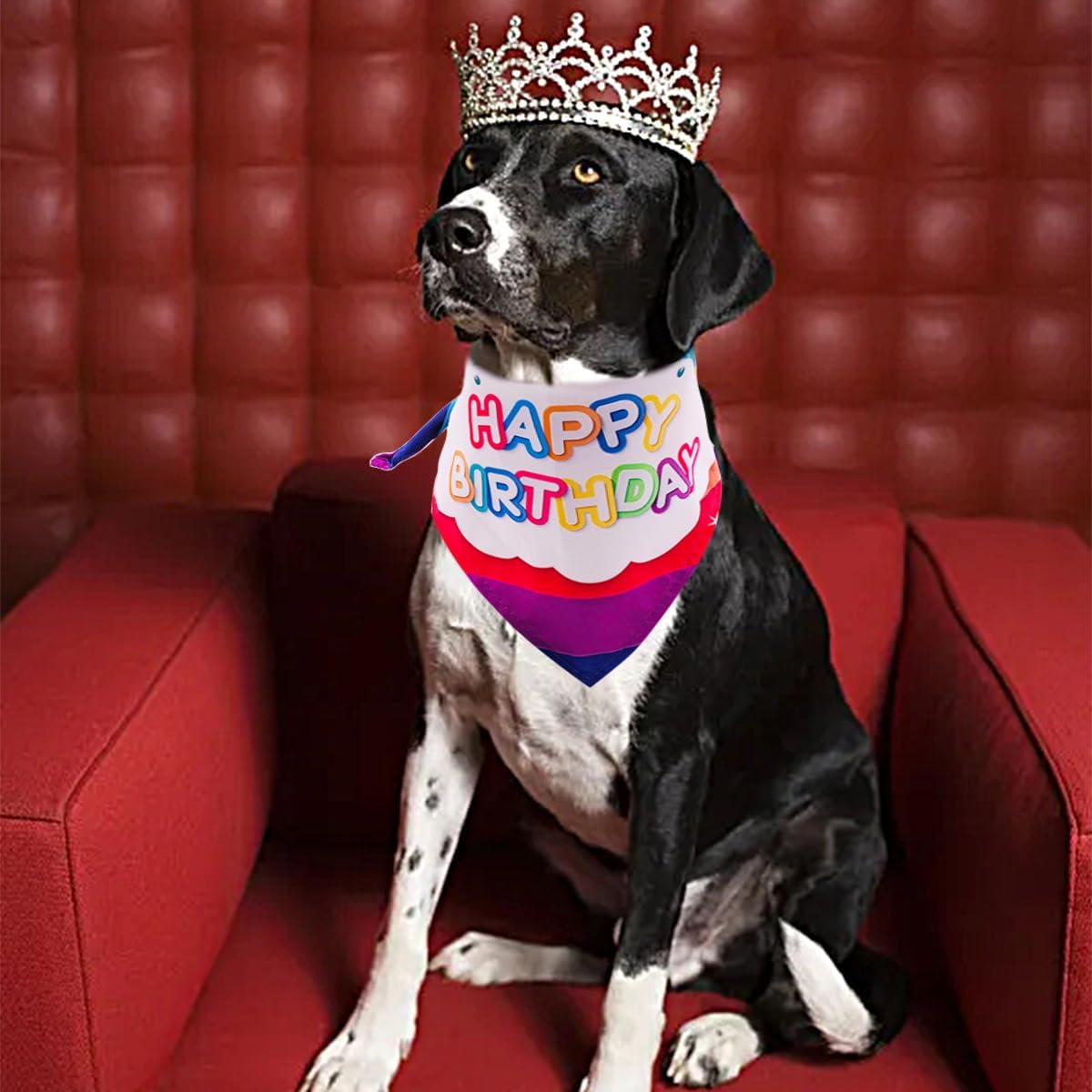 30PCS/Pack Dog Birthday Bandanas Party Bandanas Stitching Hemming Selvedge Sewing Scarves for Medium Puppy Doggie Boys and Girls Grooming Accessories Costume