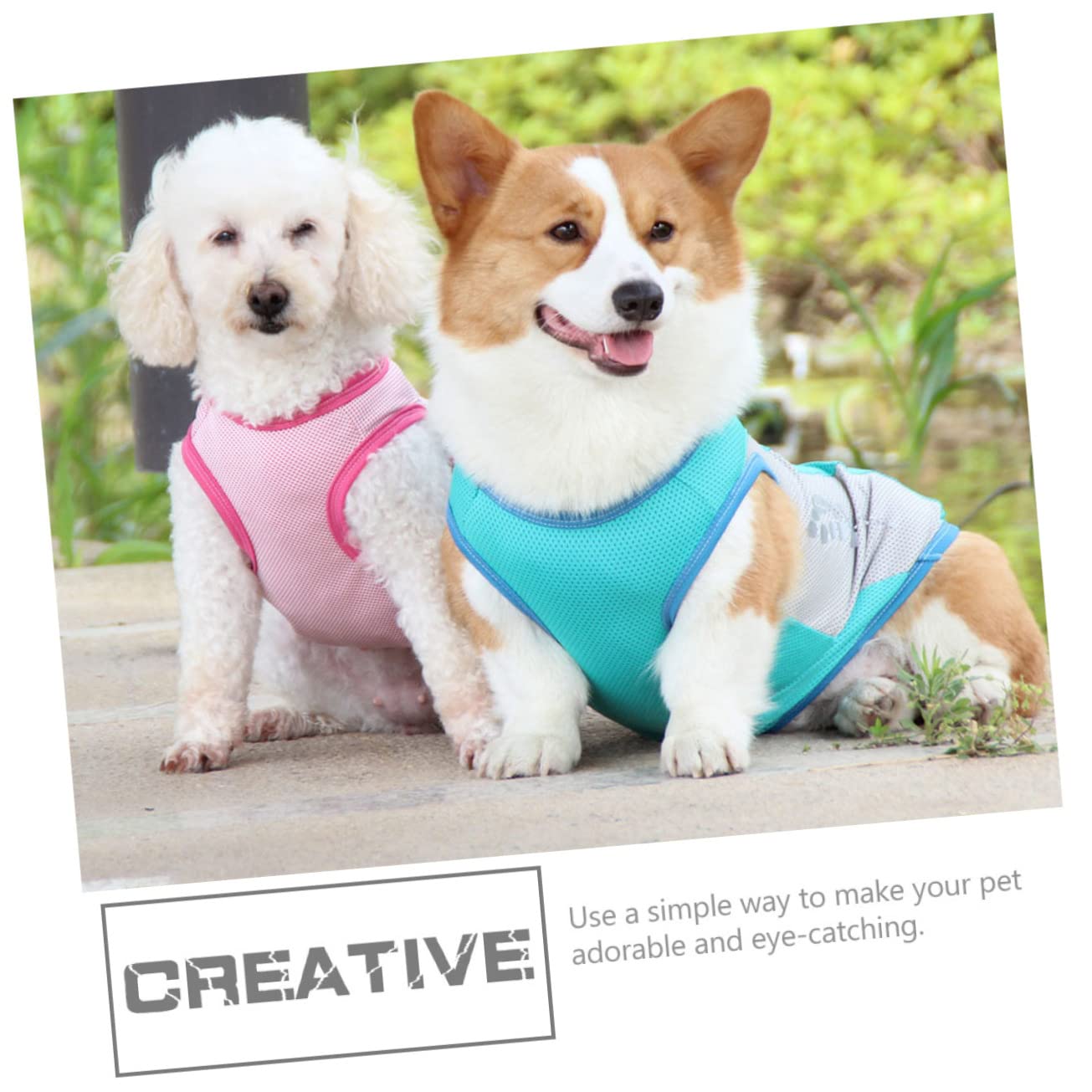 Manteaux de Pluie imperméables pour Chien, imperméable pour Chien, 2 pièces, Gilet rafraîchissant pour Animaux de Compagnie, imperméable, Robe pour Chien, chem