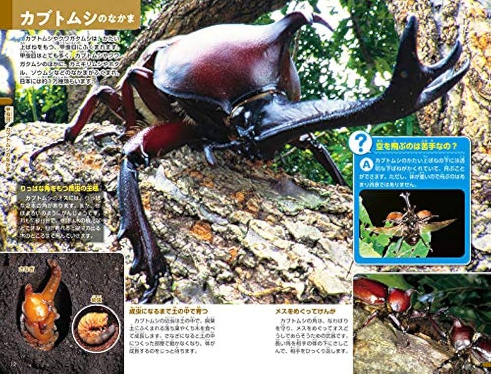 昆虫などの本14冊 昆虫 新訂版 (講談社の動く図鑑MOVE) | 講談社, 養老 孟司 |本