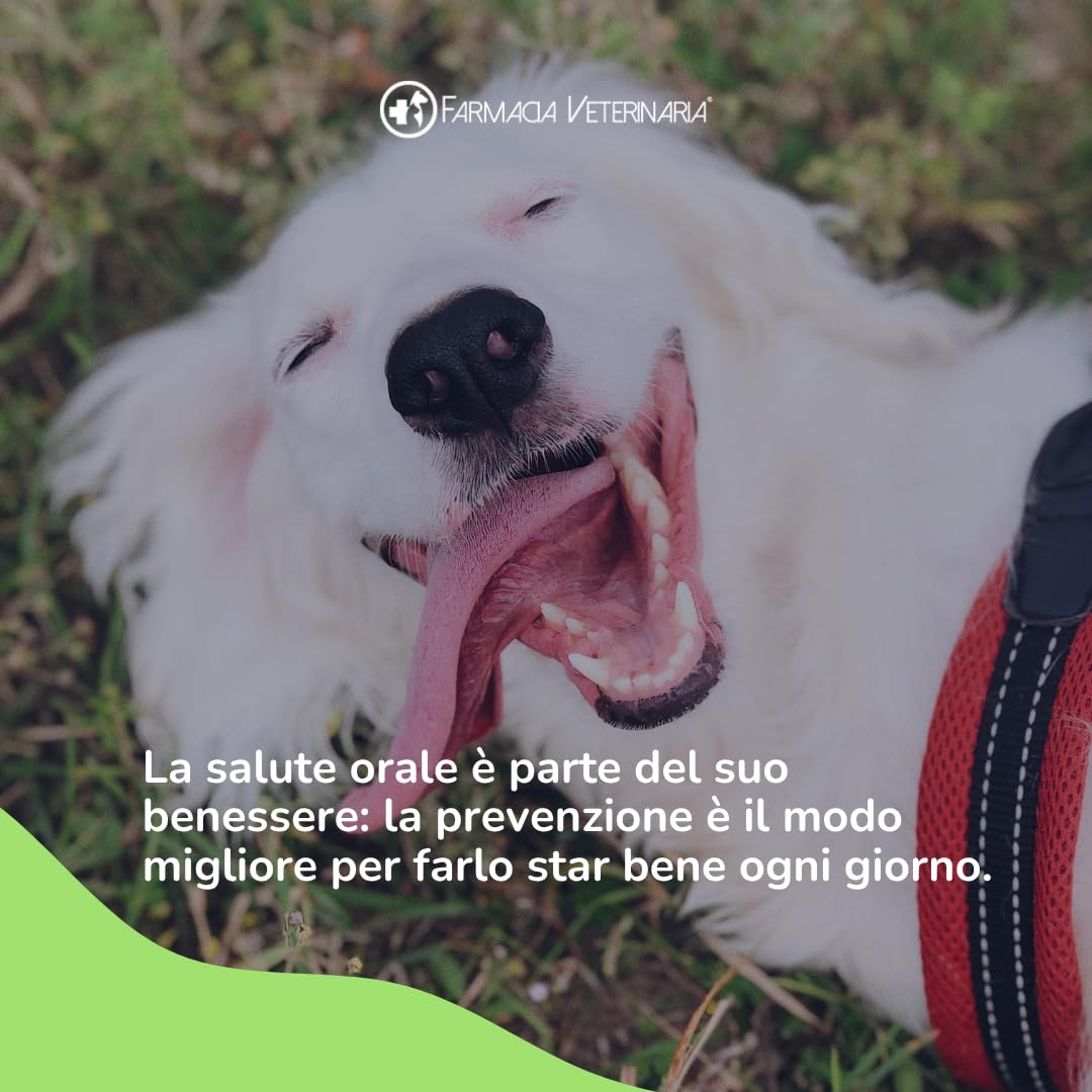 Farmacia Veterinaria Oraldefend Dentifricio per Cani Polvere Pulizia Denti 100g Anti Tartaro Alitosi