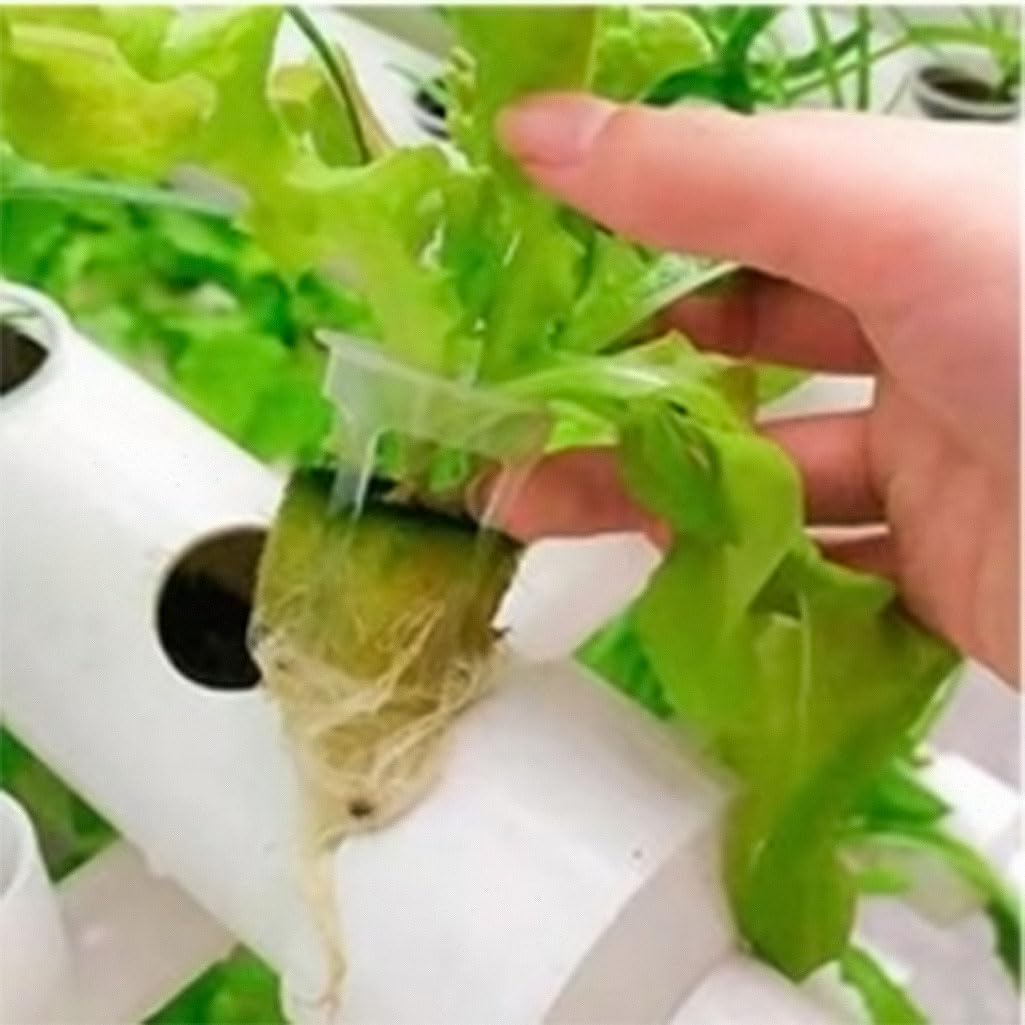 216 Sites - Kit de cultivo hidropónico de 4 capas, 24 tubos, sistema de cultivo hidropónico para verduras de hoja con bomba de agua para frutas, verduras, hierbas