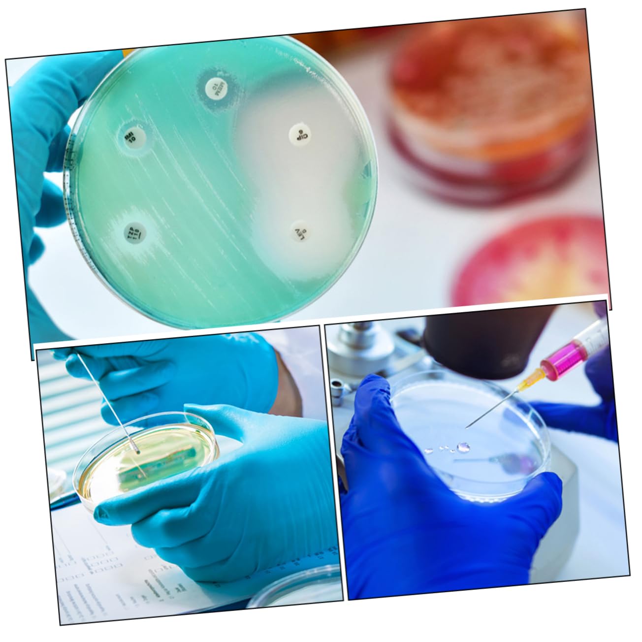 KICHOUSE 2sets Science Supplies Reaction Plate Tissue Culture Dish with Lid Lab Science Experiment Supplies 10pcs*2