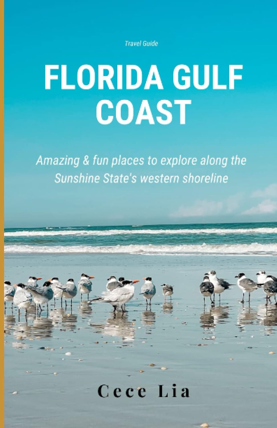 Florida Golf Coast: Amazing & fun places to explore along the Sunshine State's western shoreline