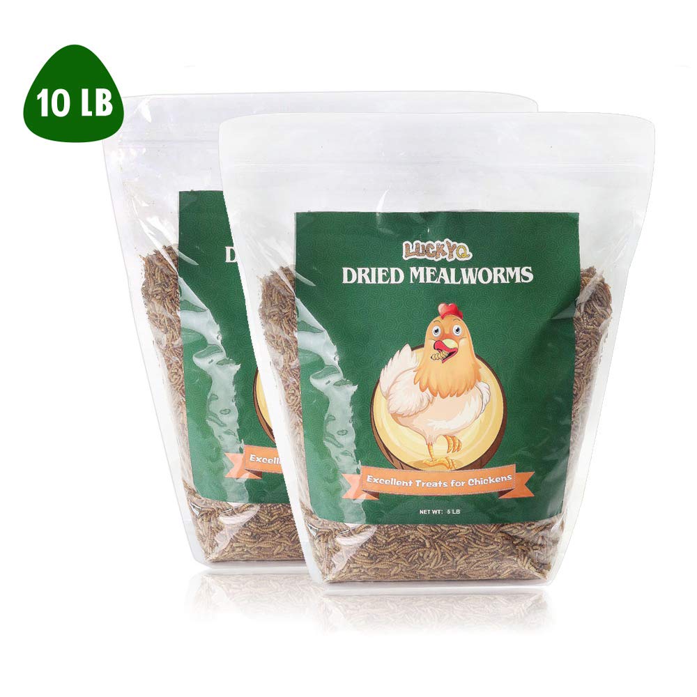 Buy LuckyQworms Mealworms, HighProtein Bulk Dried Mealworms 0.6lbs