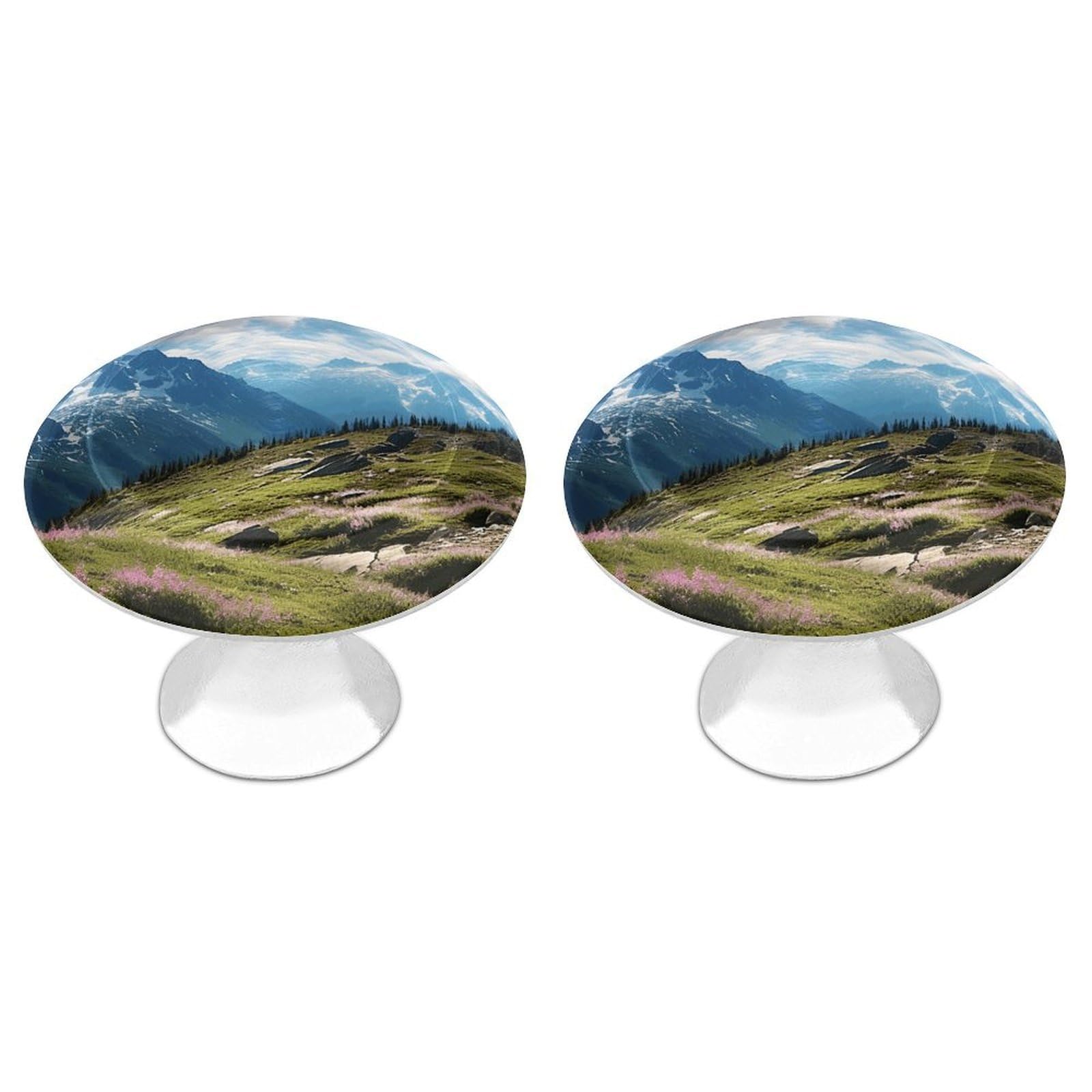 DWVTSLH Mountains Cabinet Handles 2 Pack Stainless Steel Kitchen Drawer Pulls with Installation Screws Round Dresser Drawer Knobs 1.1 Inch Modern Cabinet Hardware Door Handles