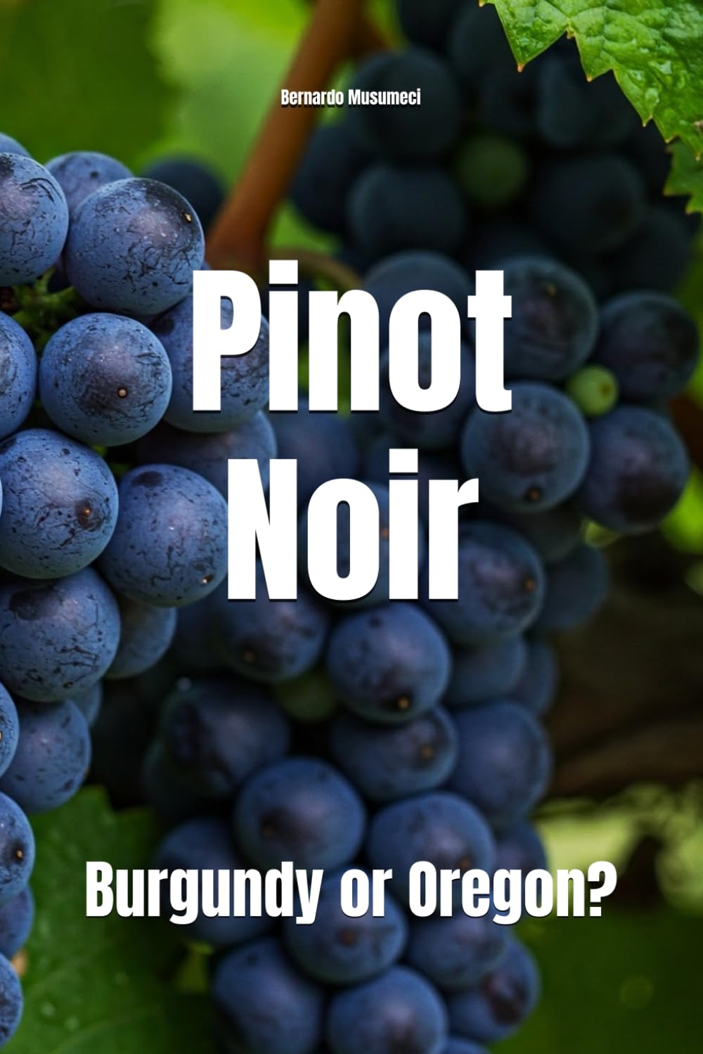 Pinot Noir: Burgundy or Oregon? (Wines of the World)