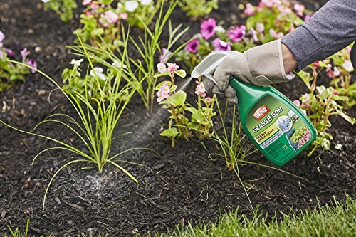 image for Ortho 0438580 Grass B Gon Garden Grass Killer Ready-to-Use, 24-Ounce (