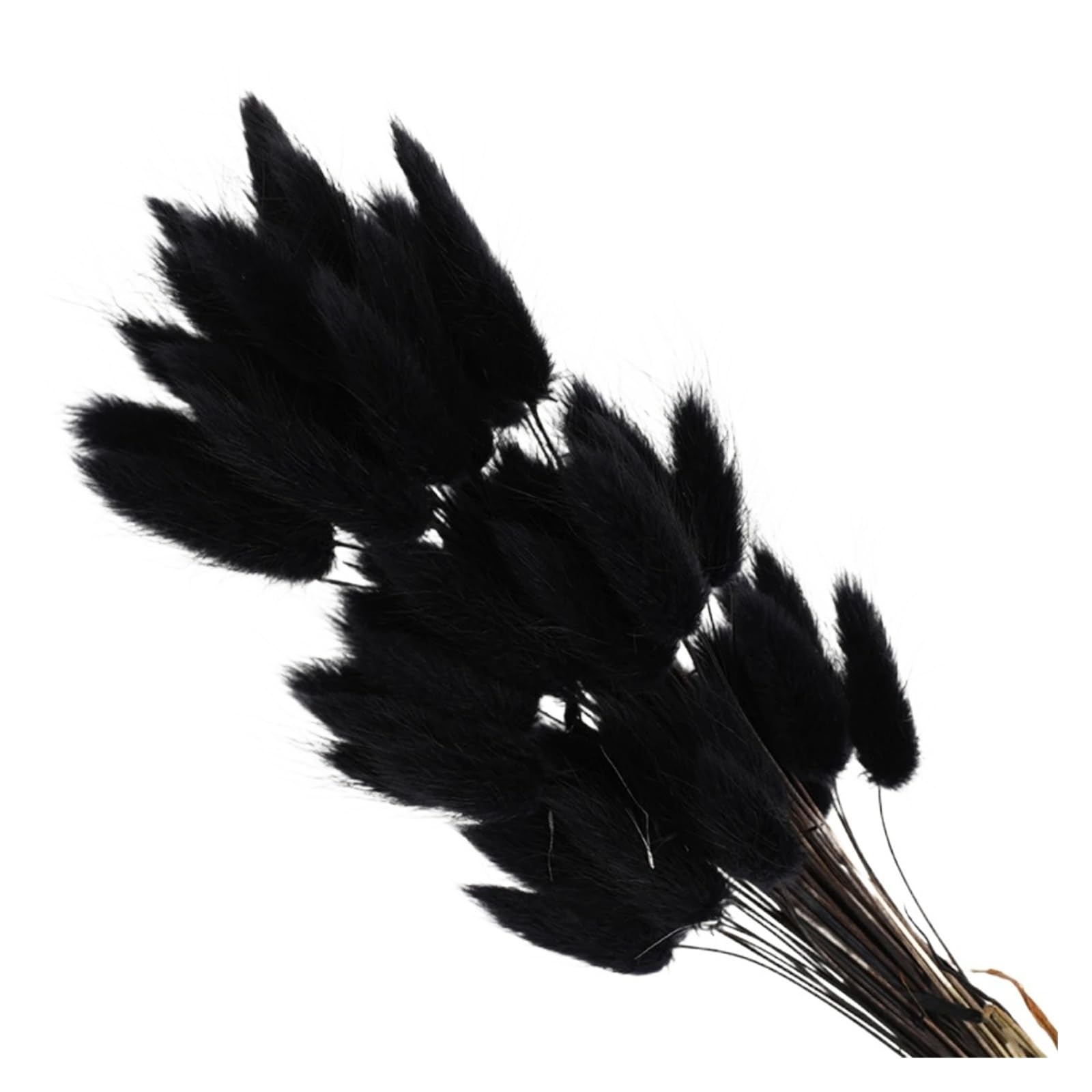 GJgfjGHK 100Pcs Natural Bunny Rabbit Tail Grass Real Dried Flower Home Decor Bouquet Colorful Lagurus Ovatus Wedding Floral Arrangement Artificial Plants Indoor(Black)