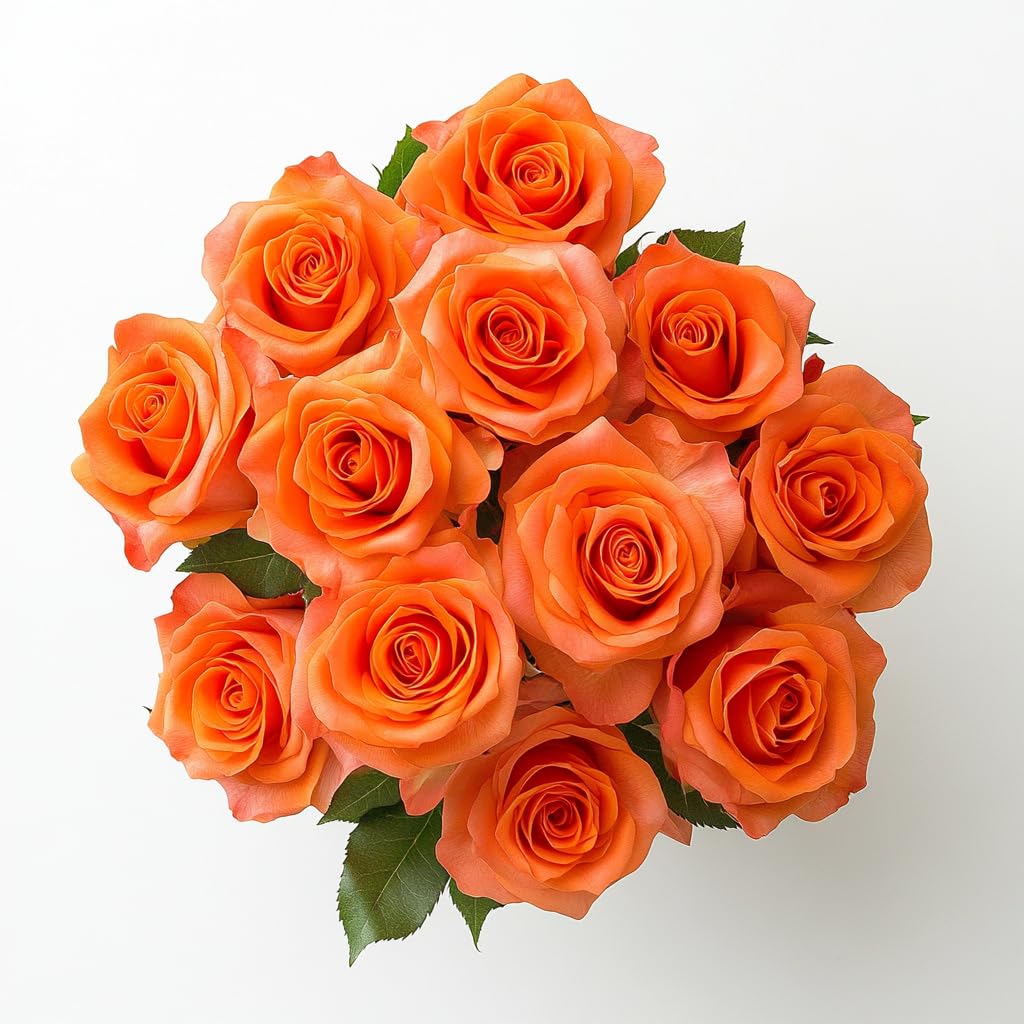 GlobalRose 12 Orange Roses Bouquet - Responsibly Sourced Roses Fresh Flowers - Hand-Picked Flowers Fresh Bouquet for Graduation, Anniversary, Birthday & Special Occasions (1 Dozen)