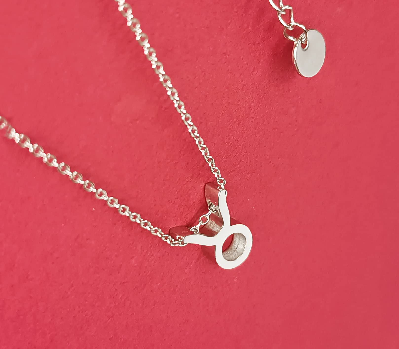 Collar Signo Zodiaco Acero Inoxidable hermosa Tarjeta Significado Signo Zodiacal Colgante Horóscopo Para mujer Regalo Cumpleaños — view 3