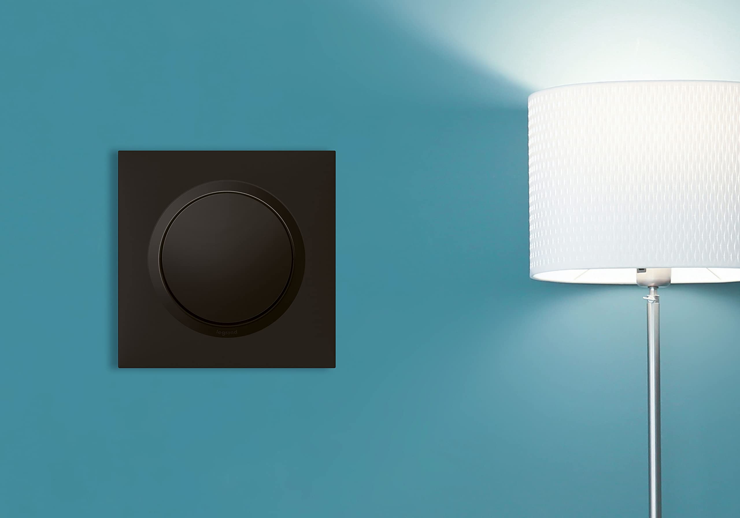 Legrand Interrupteur Mural Simple ou Va-et-vient 10AX Noir Commande d'Éclairage Sans Plaque