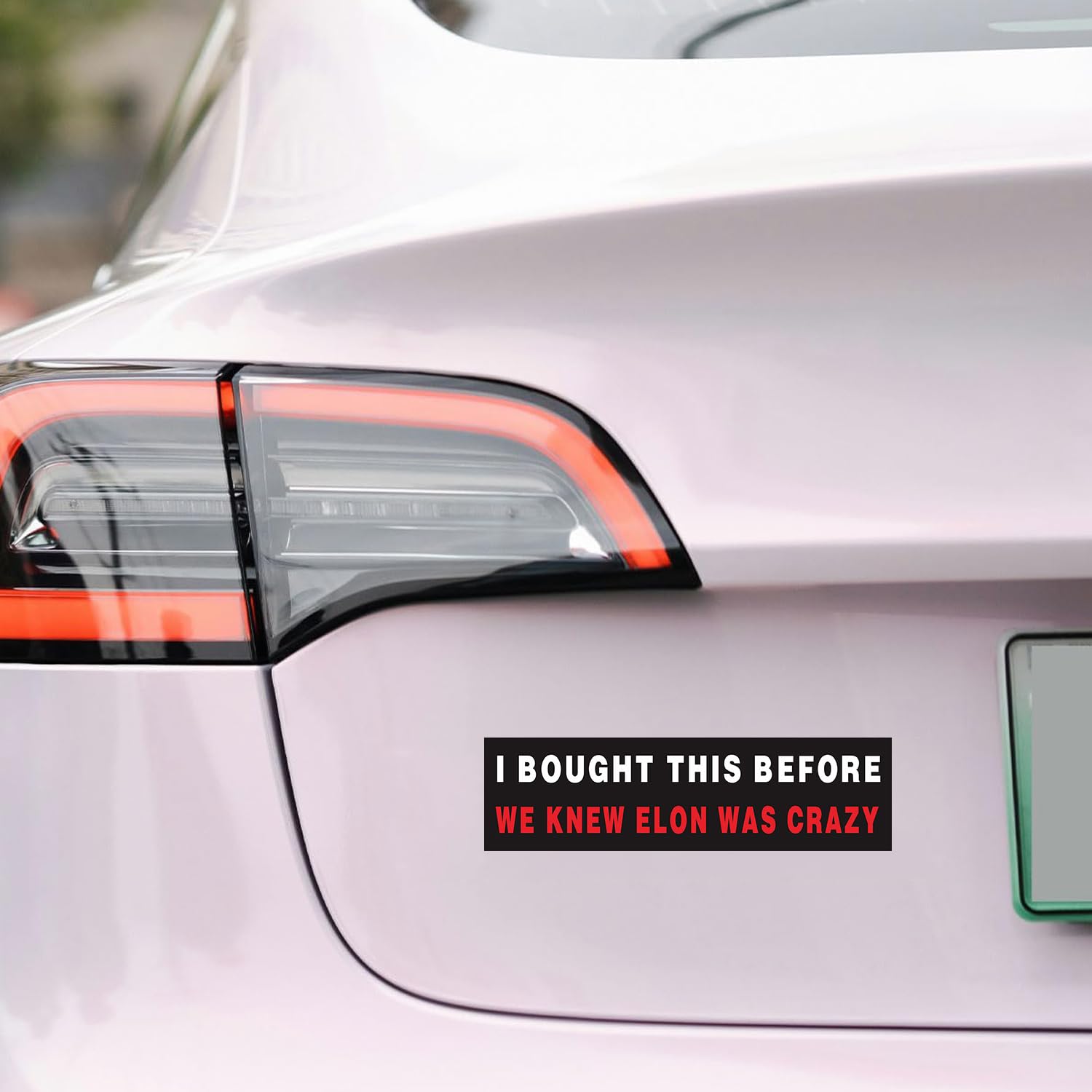 2pcs I Bought This Before We Knew Elon Was Crazy Magnet For Cars Trucks Car Accessory,Funny Bumper Stickers For Tesla Model Y X 3 - View #6