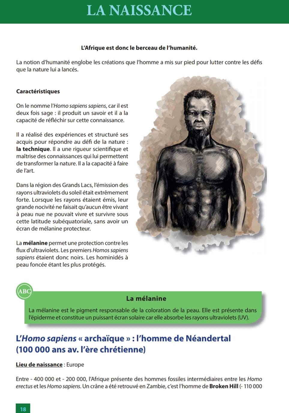 L'histoire de l'Afrique et de sa diaspora. De la préhistoire à nos jours... à partir de 10 ans