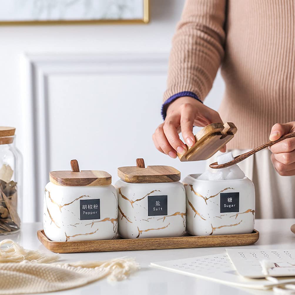 1 Set Barattoli per condimenti Portaspezie Contenitore per condimenti in Ceramica Rack Portaspezie Contenitore con Coperchio a Cucchiaio Vassoio per Cucina tè caffè Zucc