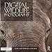 Digital Wildlife Photography