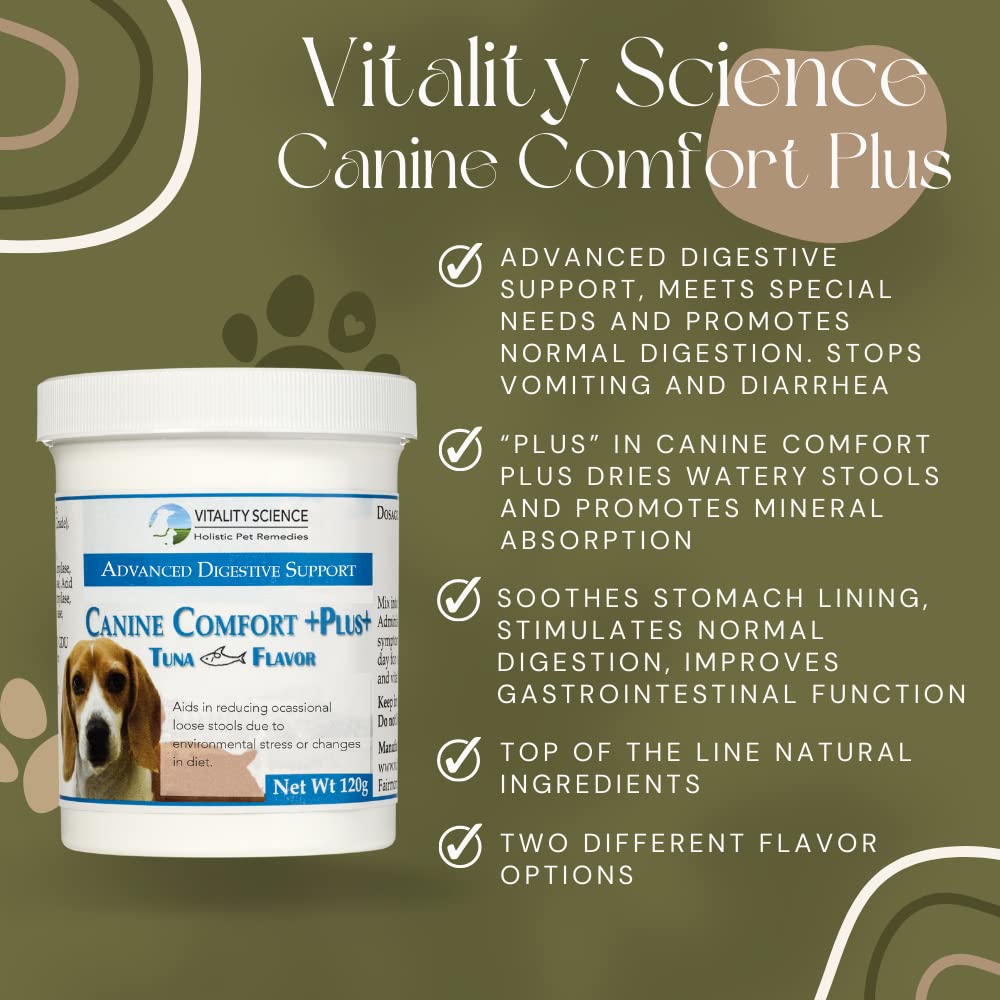 Dog Vomiting Part Program TRV Protocol Vitality Science