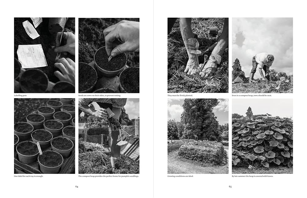 Paradise and Plenty: A Rothschild Family Garden