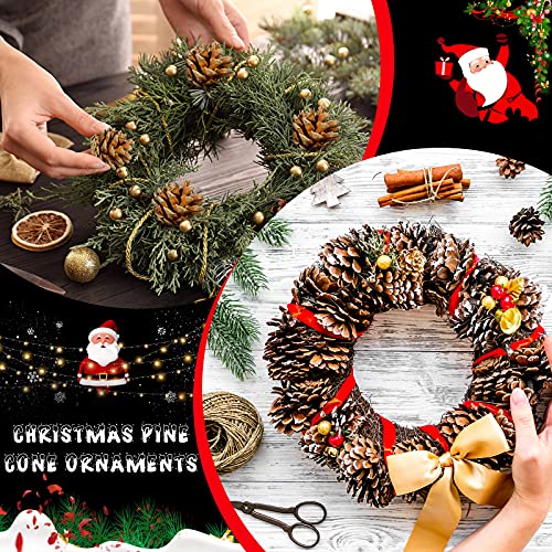 24 Pcs Christmas Pine Cones Ornaments Pinecones Fall Tree Ornaments Rustic Christmas Ornaments For Tree Snow Pinecone Ornaments Mini Bulk Pinecones With String For Home Xmas Decor (White, Natural) #TOP3