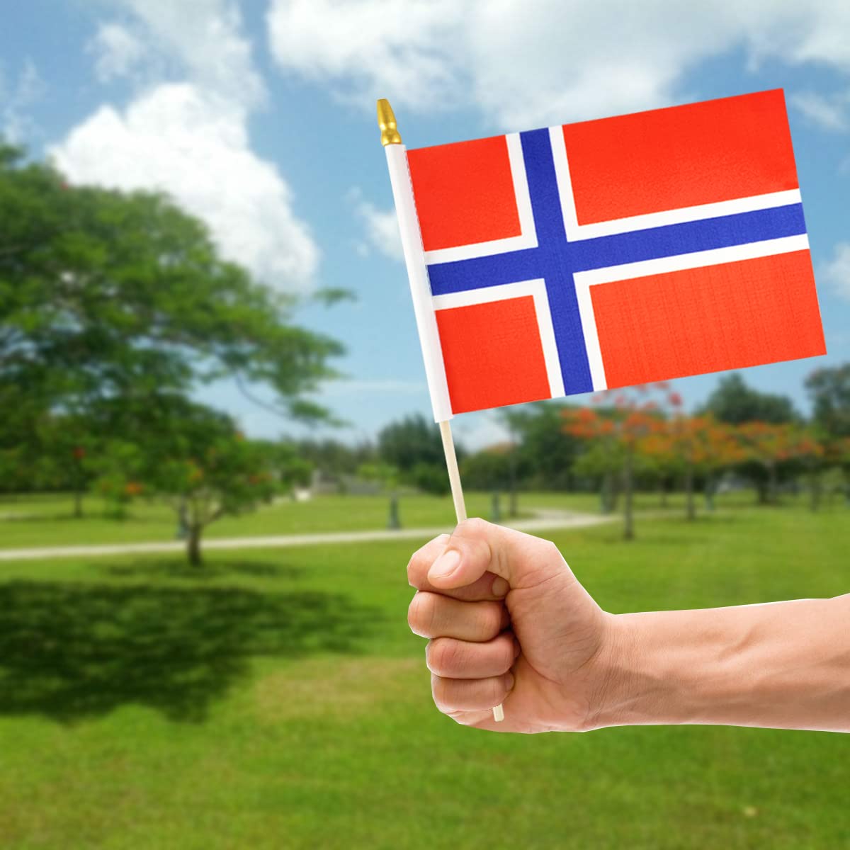 Pole Flag Of Norway, Norway Pole Flag Waving In Wind On Green - Foto 3