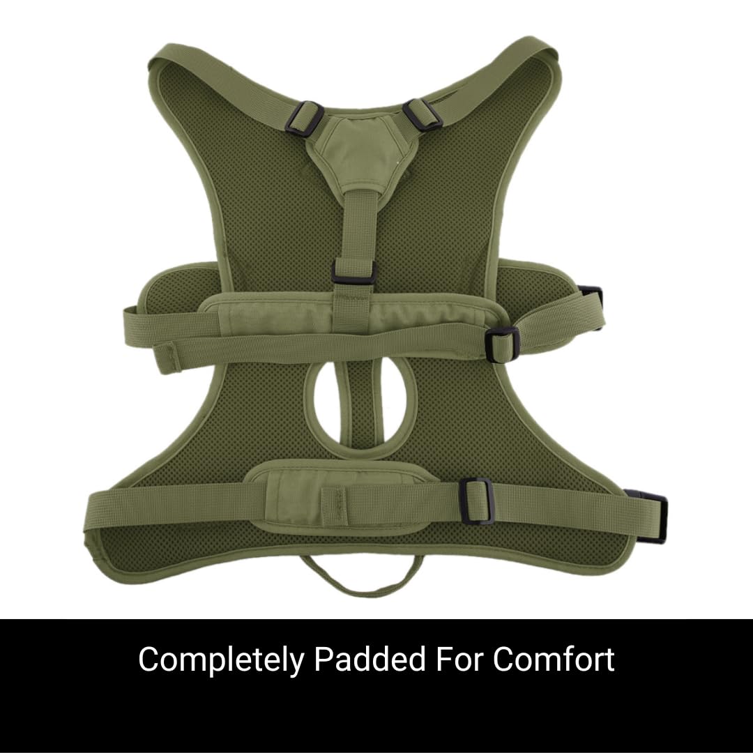 Snootiful Hound Greyhound Harness/Whippet Harness – Escape Proof Dog Harness For Lurchers And Sighthounds – 3 Point Harness – Padded, No Escape, Non Slip (Grey, XS - Foto 3