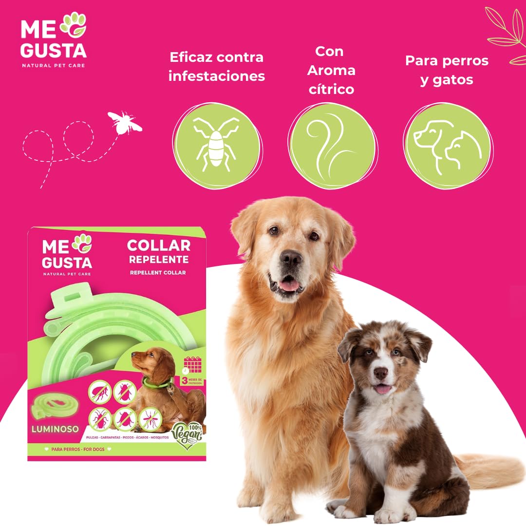 ME Gusta Collar Luminiscente Repelente para Gatos con Geraniol | Repele Todo Tipo de Insectos | Fragancia Cítrica | 30 cm