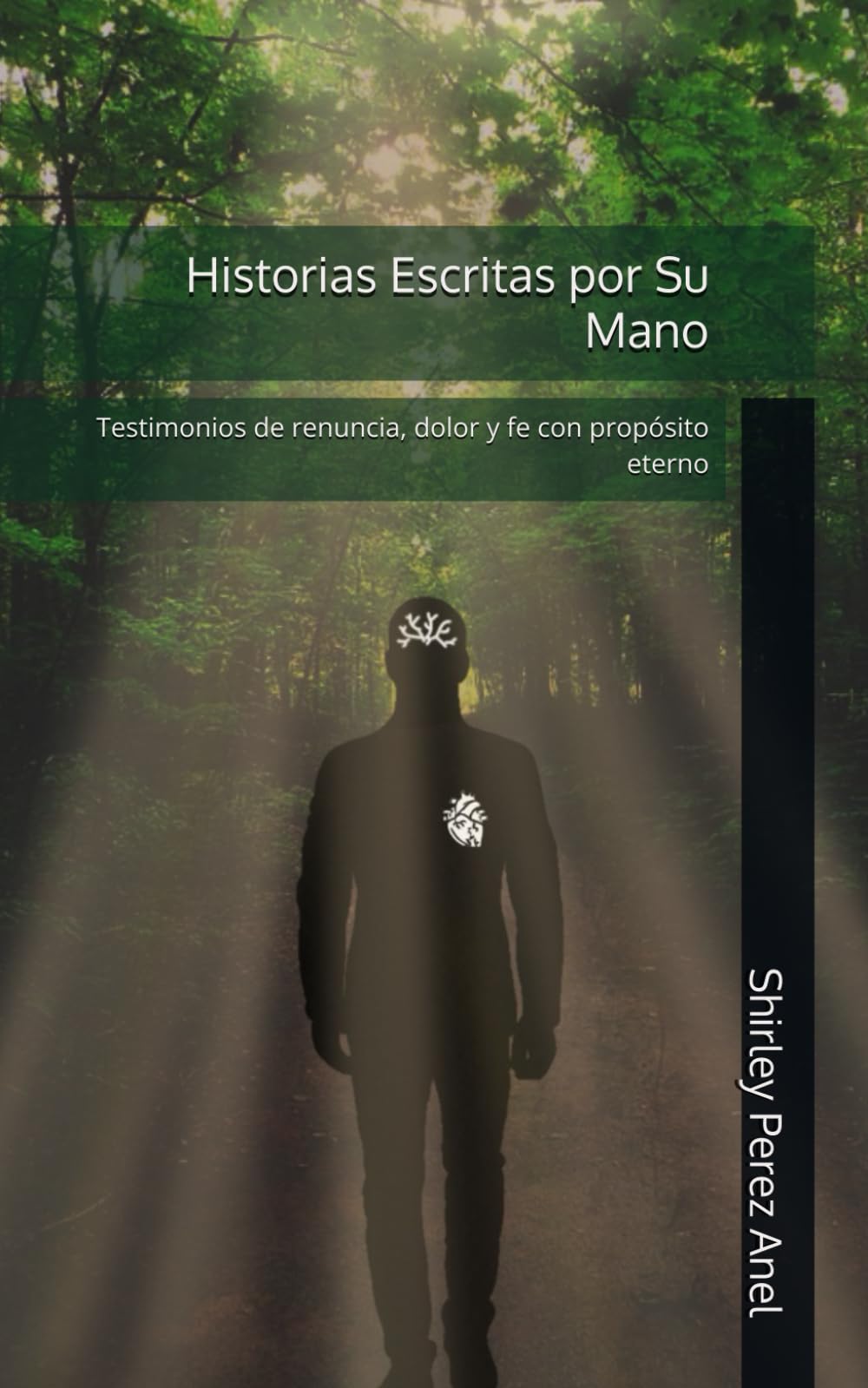 Historias Escritas por Su Mano: Testimonios de renuncia, dolor y fe con propósito eterno (Spanish Edition)