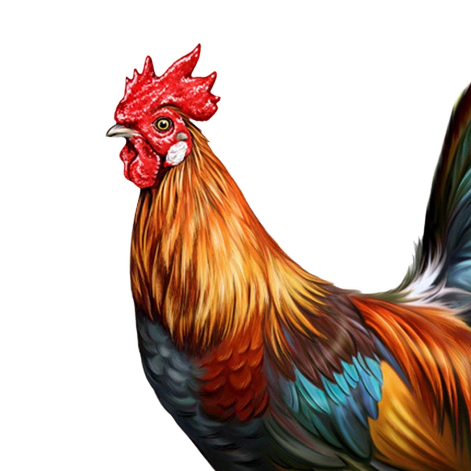 CALANDIS® Rooster Animal Statue Stakes Hen Chicken Sculpture for Farm Backyard Pathway'-image-39