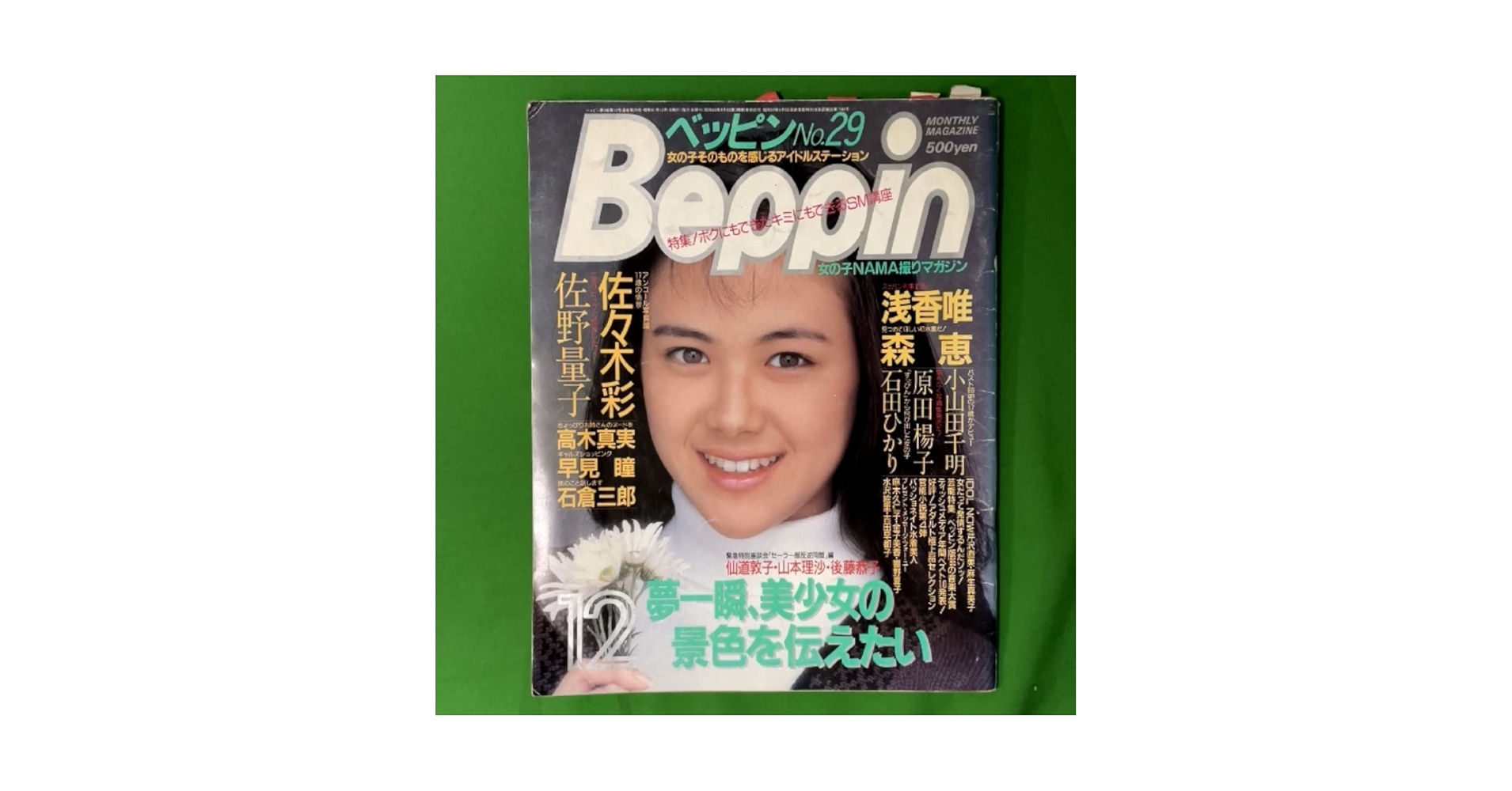 Pippiページ 雑誌 29冊 Pippiページ 雑誌 29冊 Pippiページ 雑誌 29冊 Pippiページ 雑誌