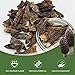 Dried Morel Mushrooms, Premium Gourmet Morchella Conica, 6 Ounces