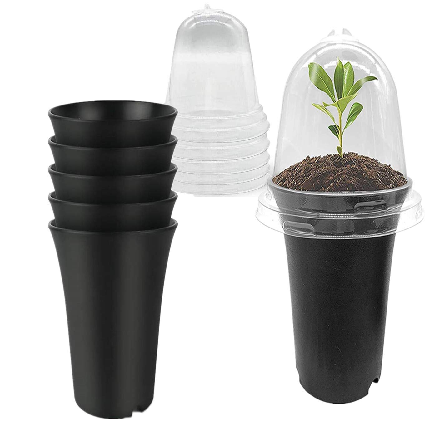 Buy 6 Pack Deep Nursery Pots with Humidity Dome,Reusable ing Nursery