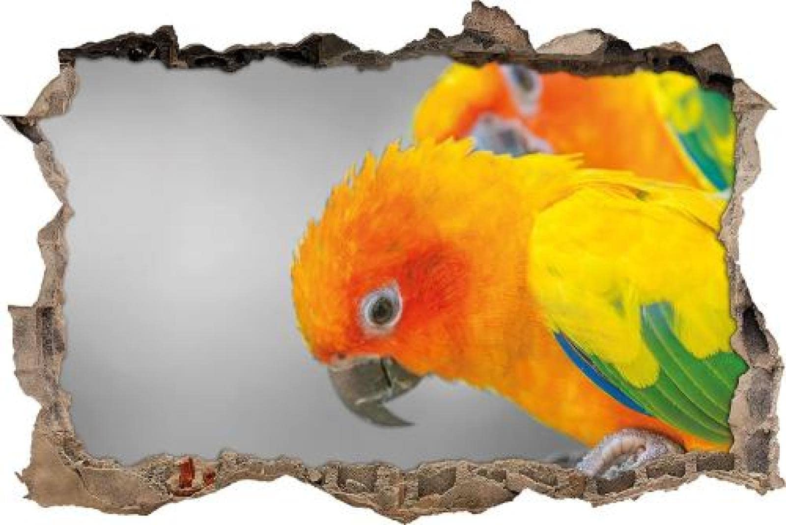 Gougeltd Etiqueta De La Pared 3D linda pareja de loros Tatuajes De Pared Pegatinas Murales De Vinilo Decoración De La Habitación De Los Niños 72x113cm